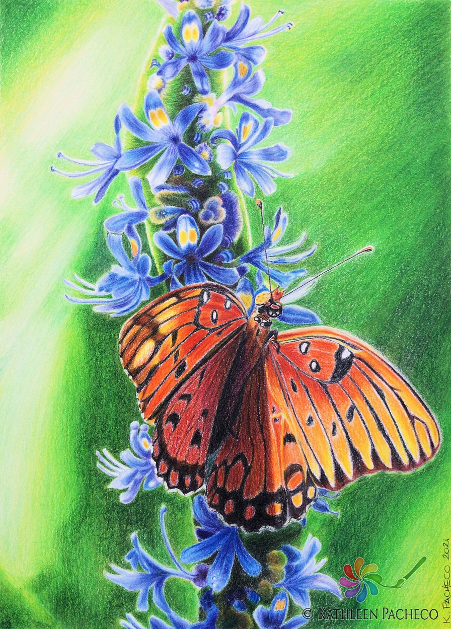 Butterfly On Petals - 9" x 12" - Colored Pencil on Paper