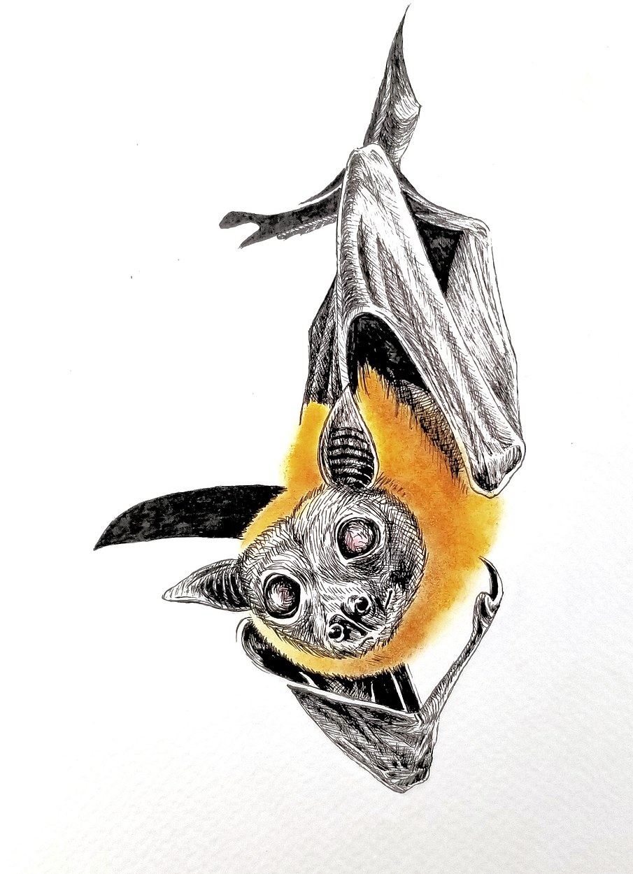 Itty Bitty Bat