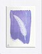 White feather on purple