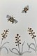 Grass Seeds & Coffee Bees