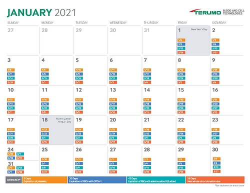 86777 Terumo 2021 Outdate Calendar v4 Page 2