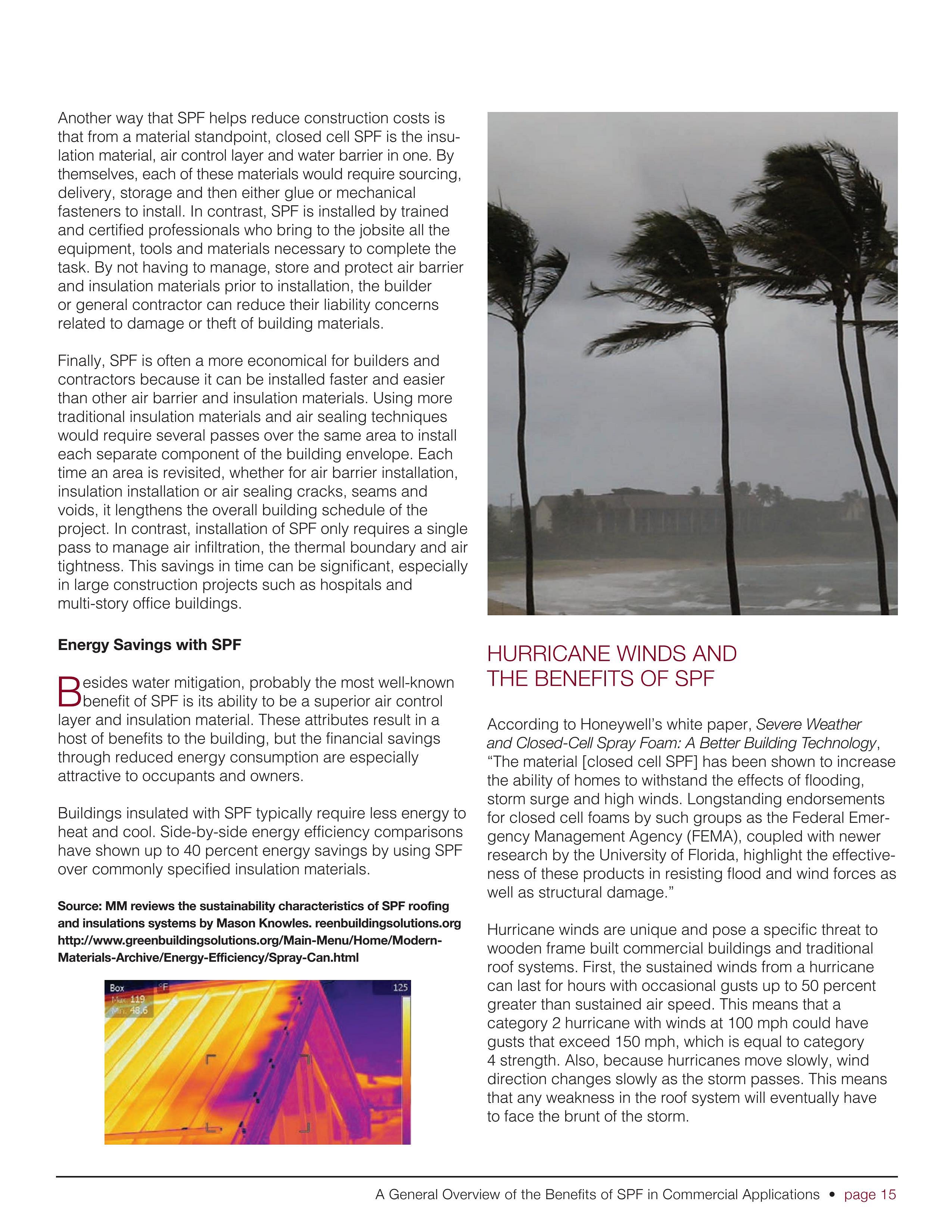 Whiteness studies stanford picture