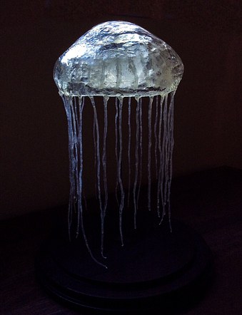 Aequorea victoria (Crystal Jellyfish)