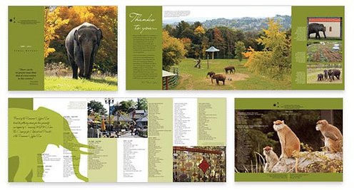 Sponsorship Brochure: Rosamond Gifford Zoo
