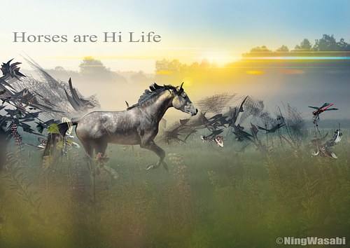 Horses are Hi Life