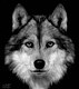 Waya. Art Prints - 15 x 13" 