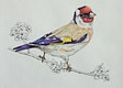 Goldfinch (SOLD)