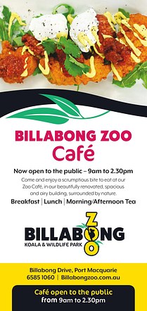Billabong Zoo Flyer