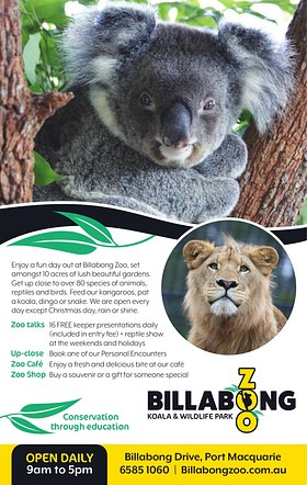 Billabong Zoo Advert