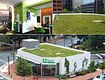 First green roof & living wall pilot project (Bethesda, MD)