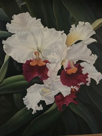 White Orchids in oil medium