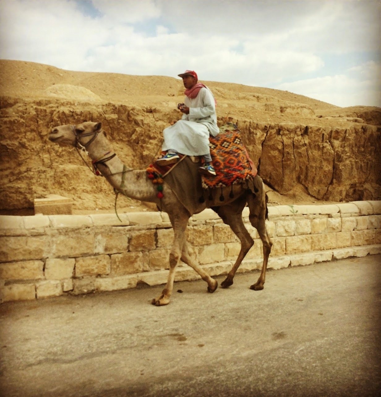 Camel Rider at Giza