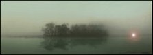 Misty Lakeside Dawn
