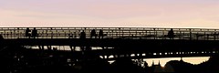 Sunset on Le Pont des Artistes 