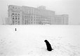 Kerst 1989 Roemenië Boekarest Het winterpaleis van Ceausescu, zojuist geexecuteerd