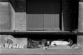 1994 februari. Daklozen Oostelijke Handelskade. Stoelenproject is vol