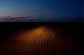 2016-2017 Roadtrip met zwiepende koplampen door de polder. Voor Fotofestival Noorderlicht 2018