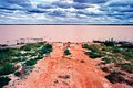 2000. Australie, Outback. Regenseizoen