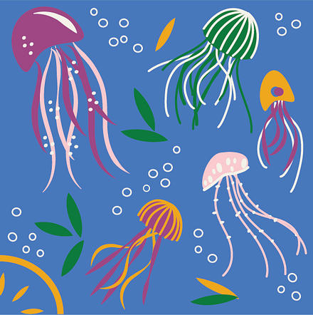 jellyfish float crevado