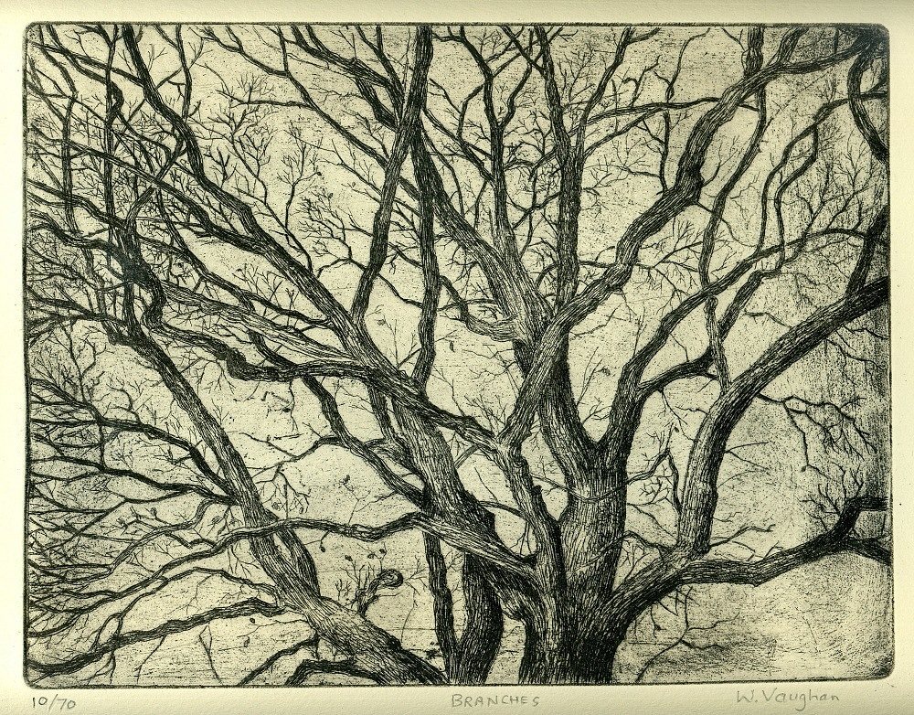 Branches, etching, image size 25 x 20 cm, edition of 50 £150