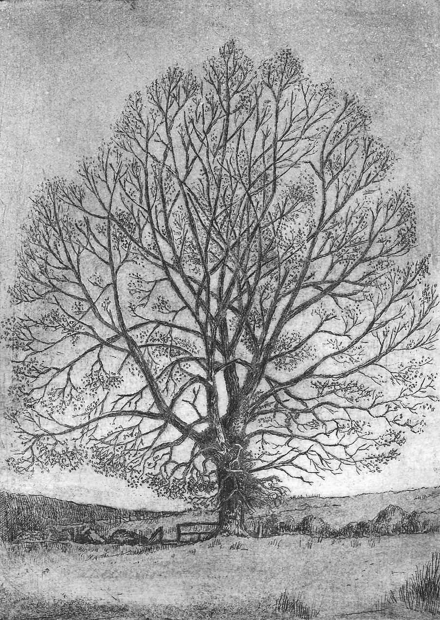 Cockhill, Dawn, etching, image size 15 x 20 cm., edition of 30, £125