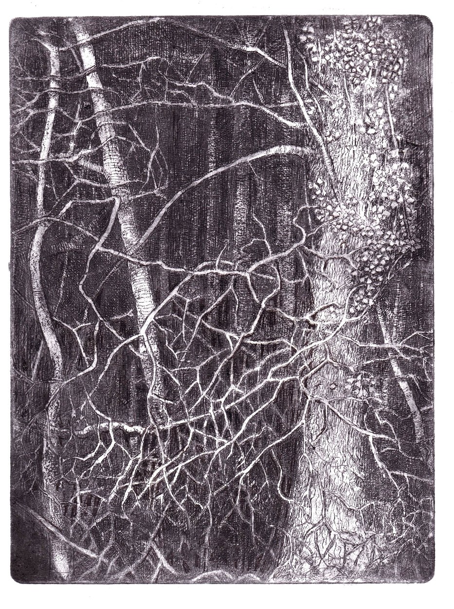 Penselwood, etching, edition of 50, 20 x 25cm (image size), £125