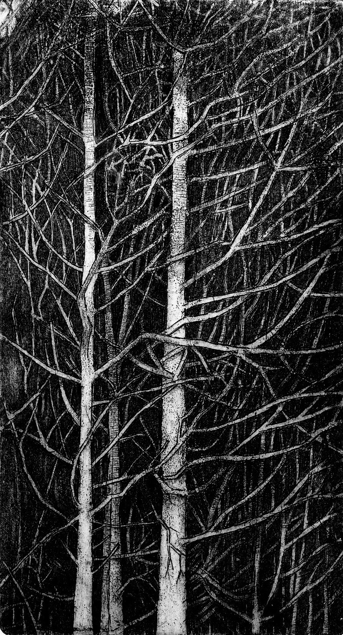 The Edge of the Wood, etching,, image size 14 x 25 cm, edition of 50, £140