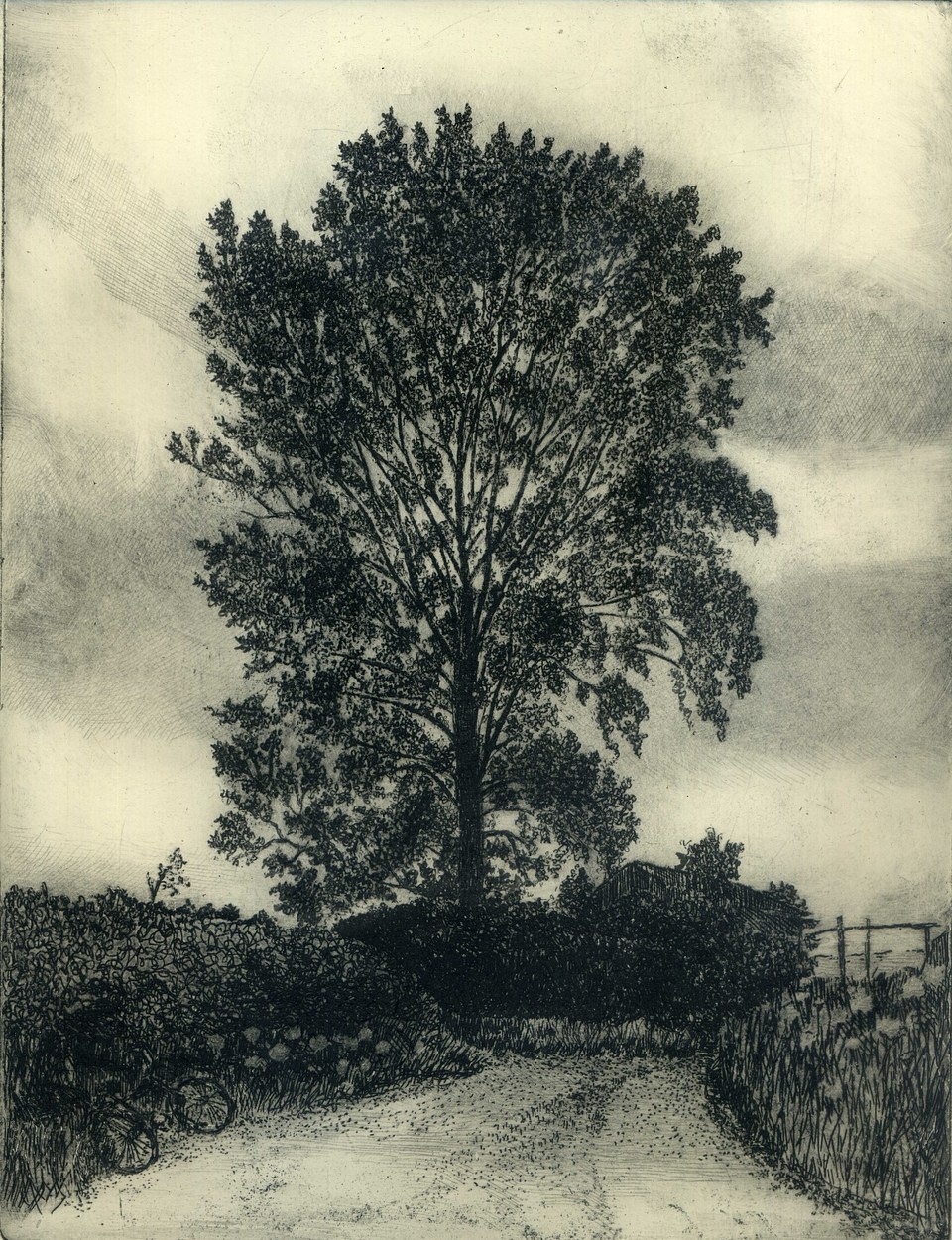 Near Babcary, etching, 15 x 21 cm (image size), edition of 50, £125