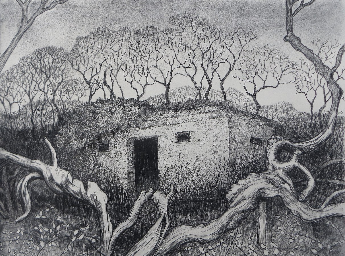 Pillbox, drypoint, image size 28 x 20cm, edition of 10, £150