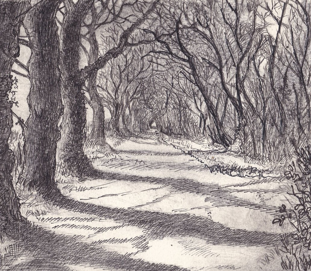 Drove Road,  drypoint, , image size 19 x 16 cm, edition of 20, £110
