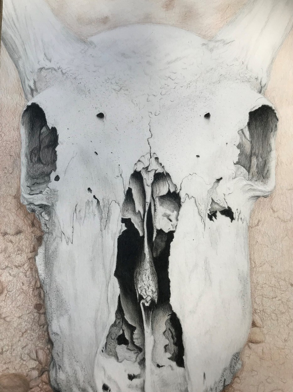 Desert Skull 
