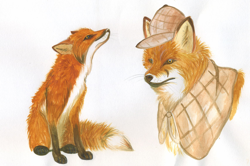 Sherlock Fox Character Design