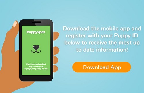 Hero image for PuppySpot App email