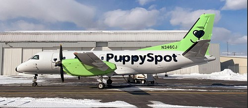 PuppySpot Charter plane