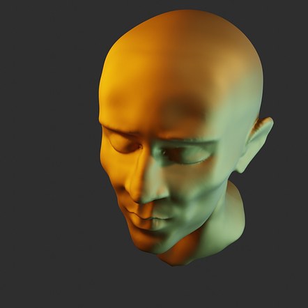 Head sculpt
