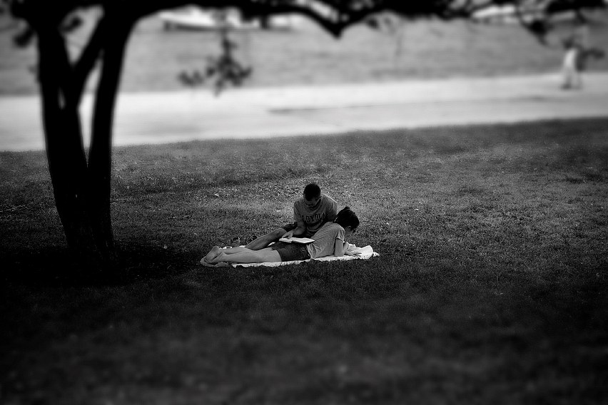 Lovers Reading by the Lake - City of Chicago