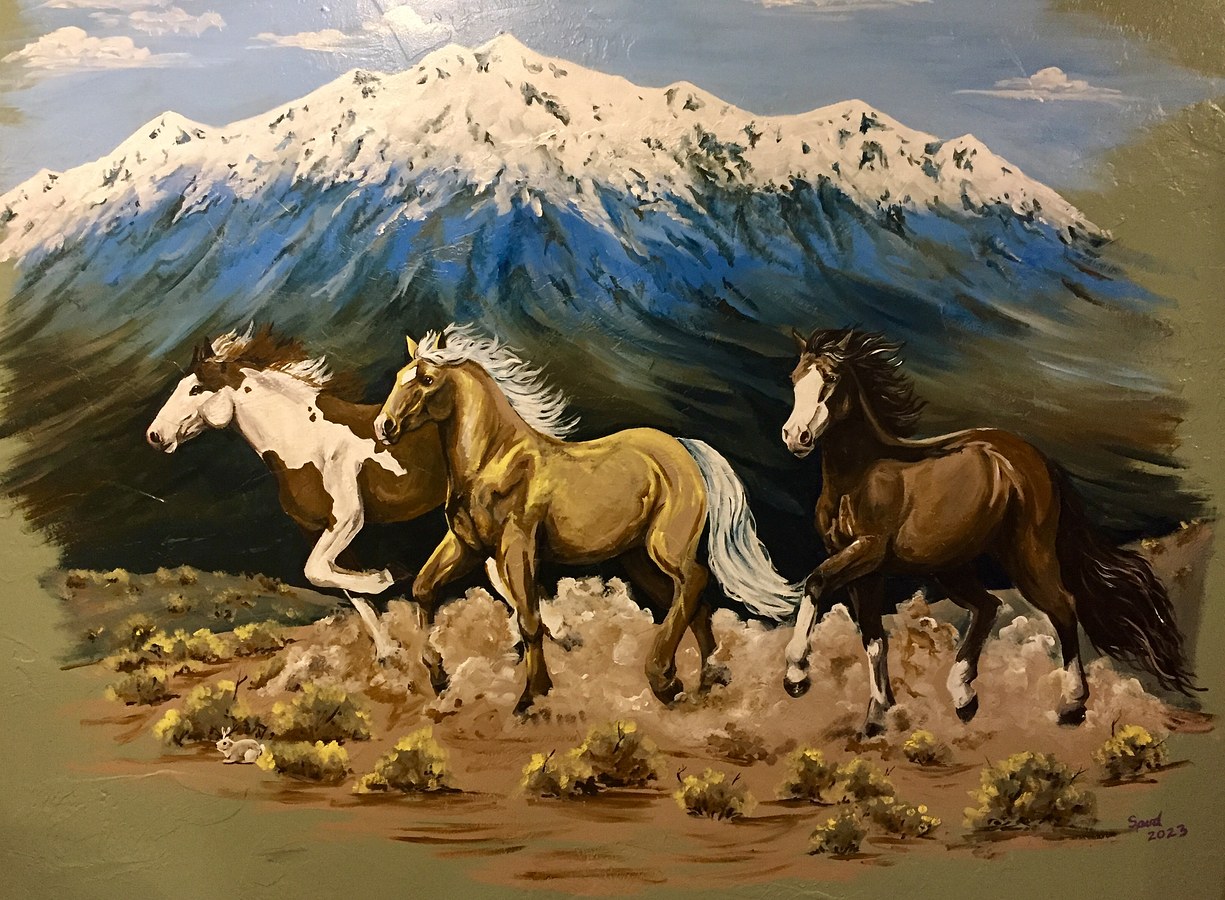 Ruby Mountain Mustangs