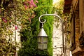 10121-Garden with lamp - Eze, France