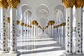 10138-The Sheikh Zayed Grand Mosque UAE
