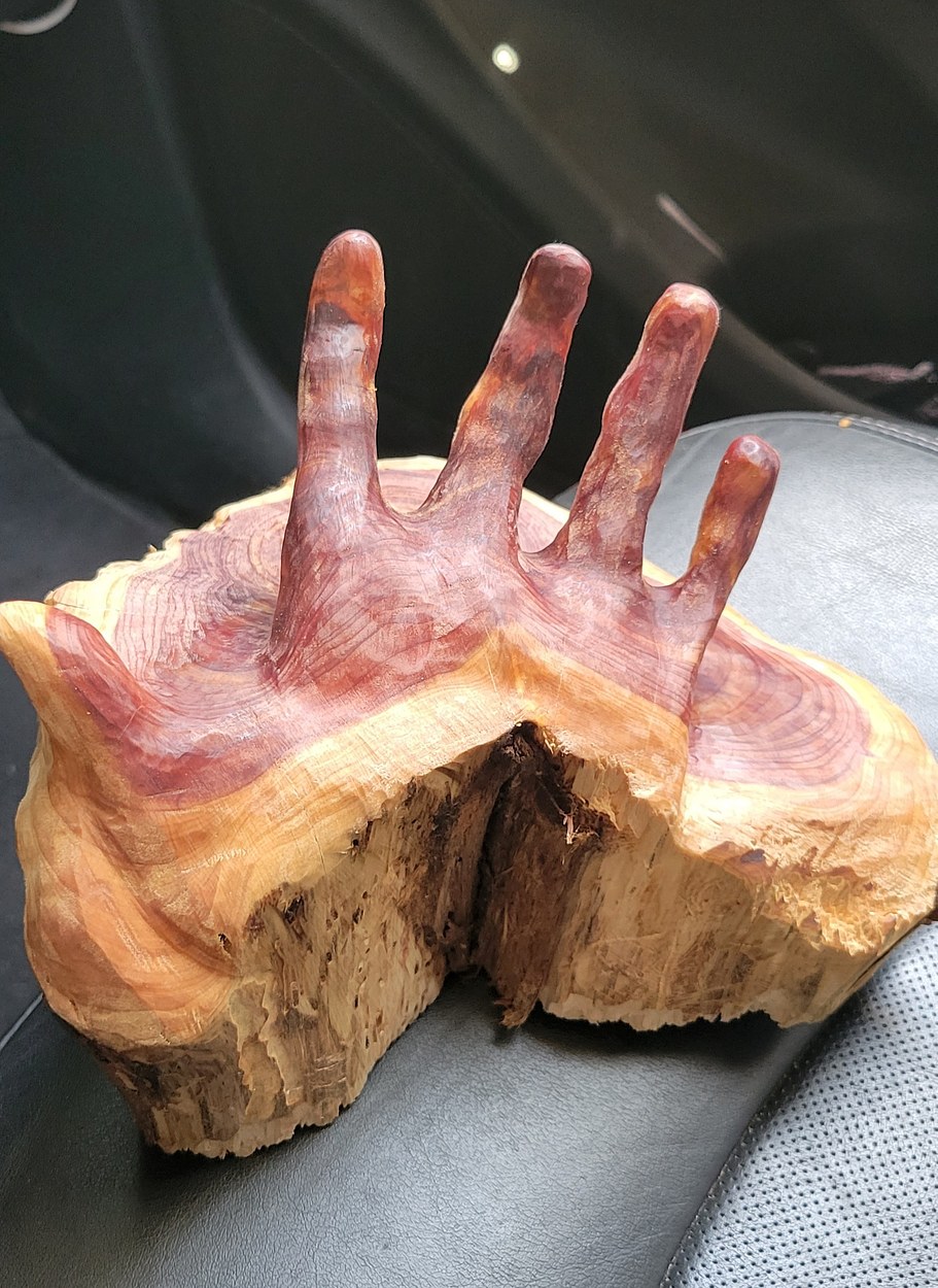 Hand in Cedar
