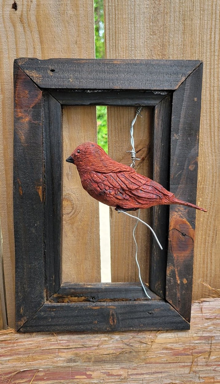 Southern Finch