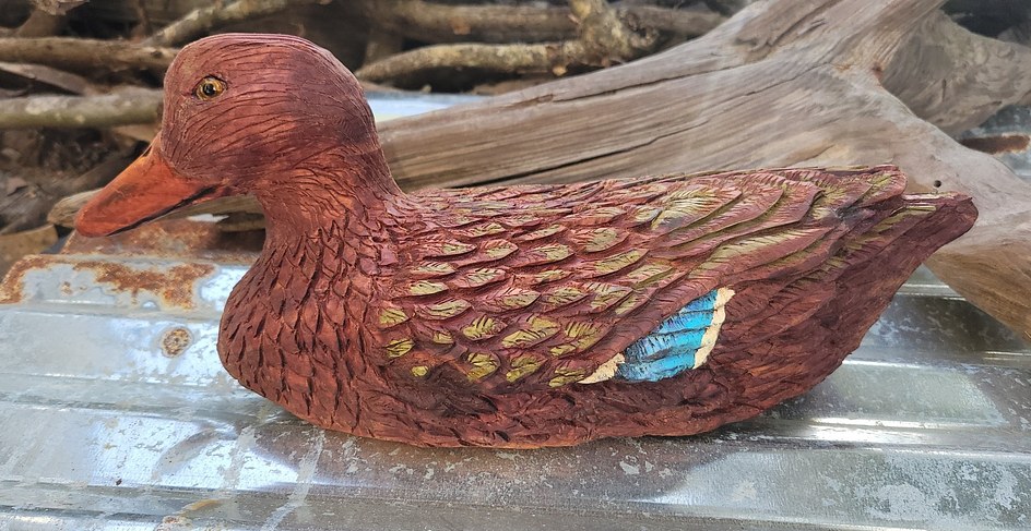 Mallard Hen