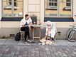 Patting The Dog At A Street Cafe