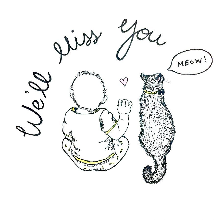 Boy and cat