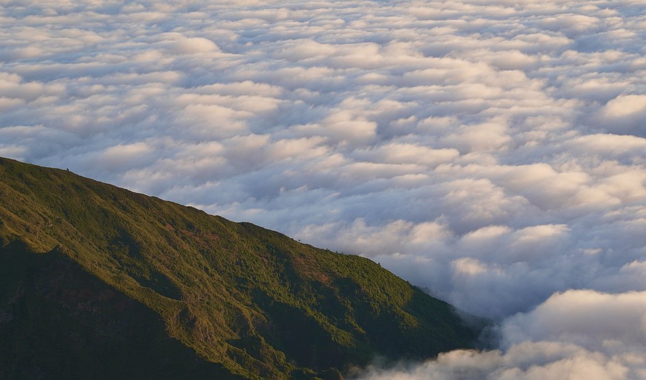Cloud cloak