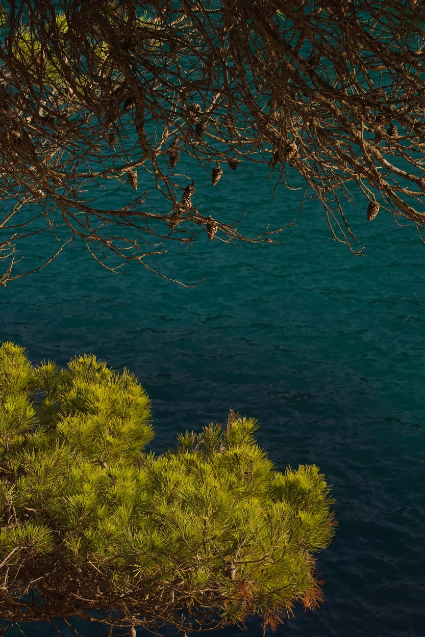 Mediterranean palette