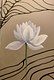 Lotus with lines
