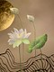 Lotus with lines