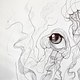 Jellyfishes  - beauty studio