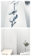 Cotton - beauty studio